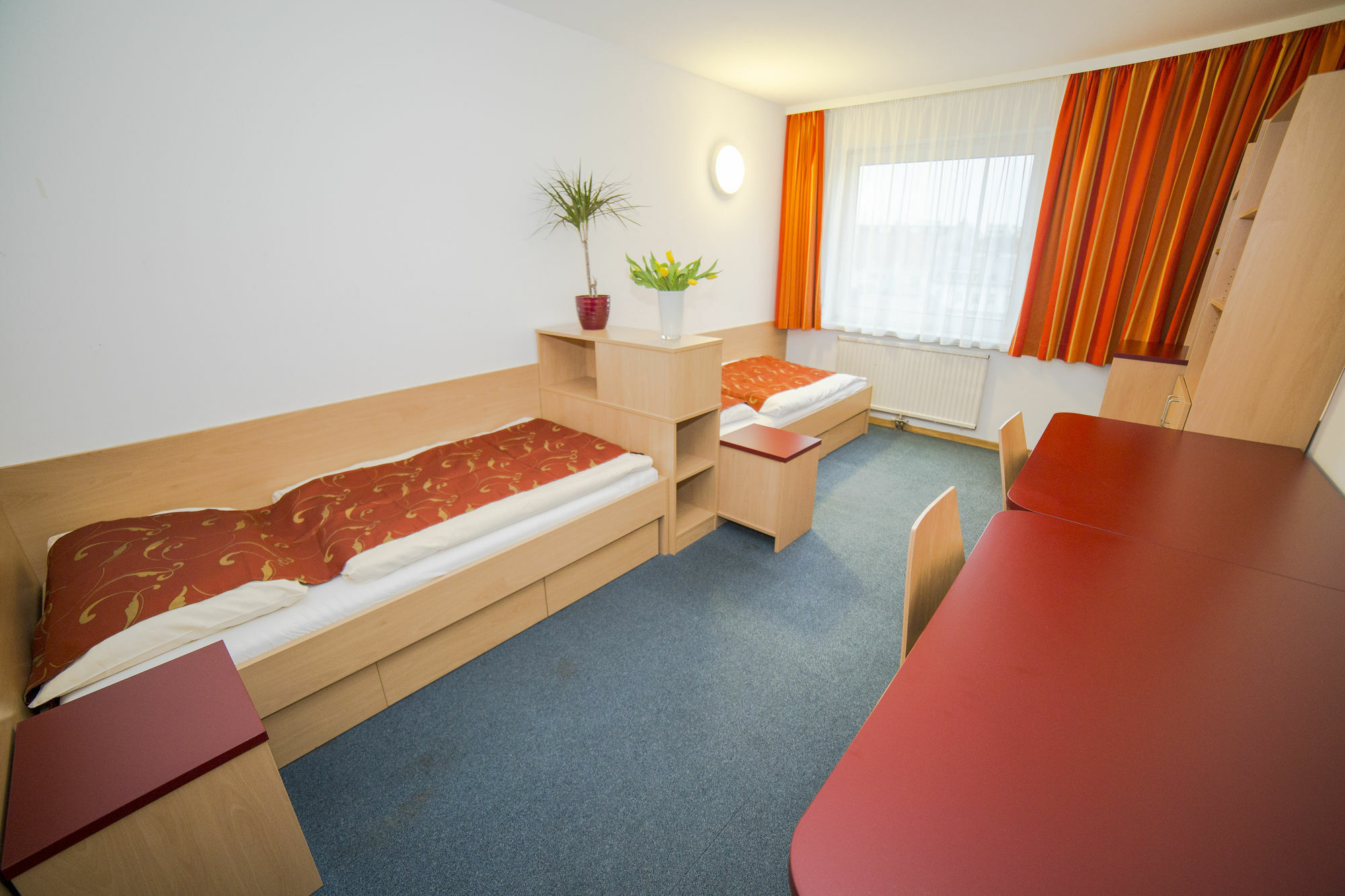 Mynext - Westbahnhof One Hostel *